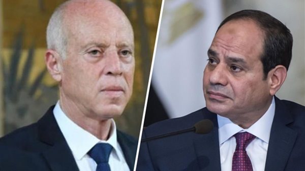 الرئيس السيسي ونظيره