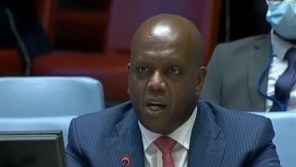 مندوب كينيا بمجلس