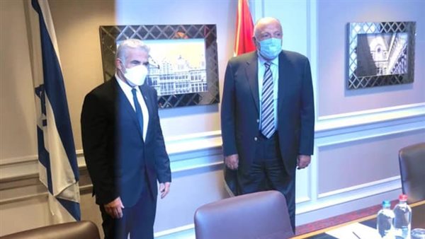 وزيرا خارجية مصر