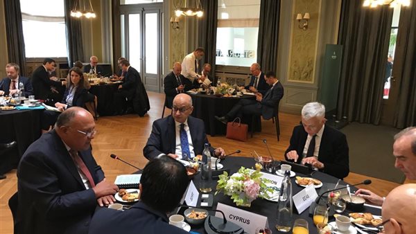 سامح شكري وزير الخارجية