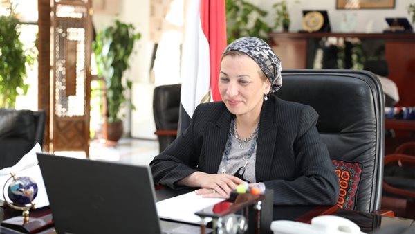 ياسمين فؤاد وزيرة